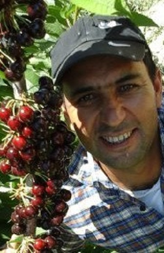 Cherry-2_595-e1559100236958